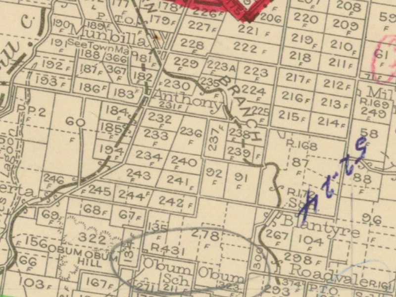 munbilla-to-blantyre-stations