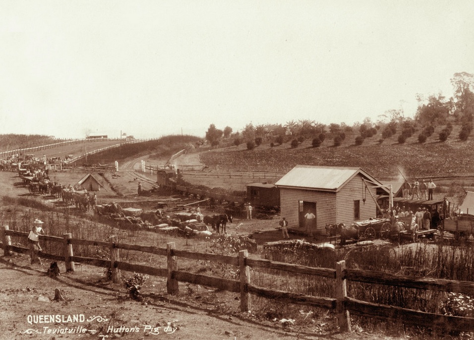 teviotville-railway-station